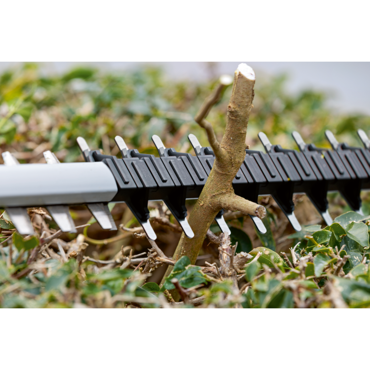 Bosch Professional Cordless Hedgecutter GHE 18V-60 (18V, 60cm blade, 23mm tooth, Anti-Blocking, Brushless, 3kg excl. batt)