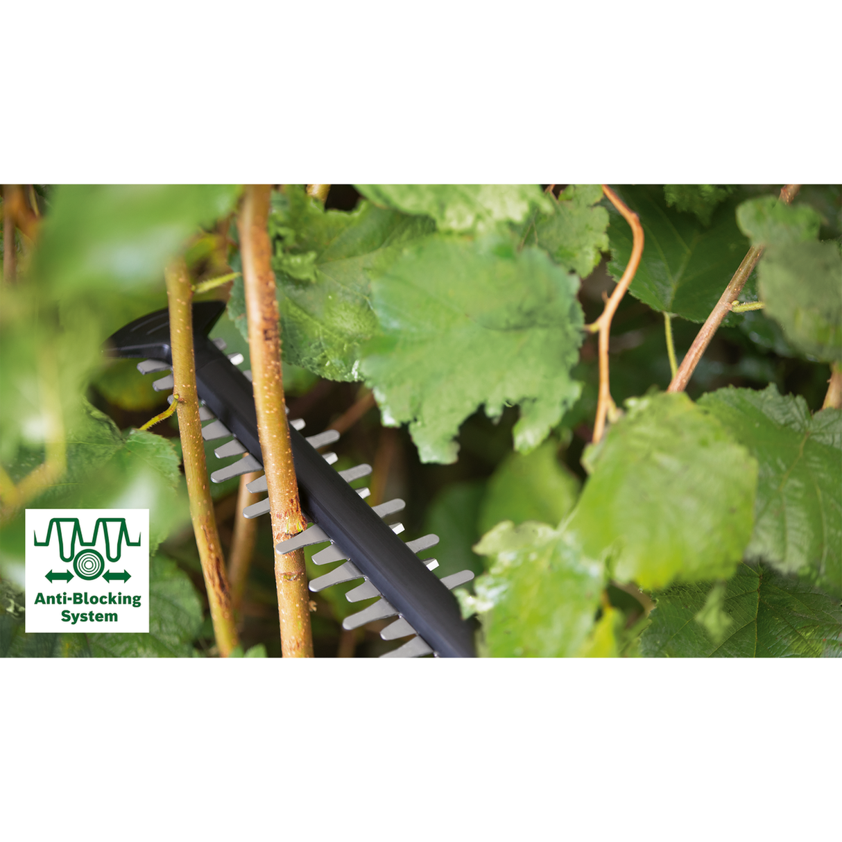 Bosch Garden Hedgecutter EasyHedgeCut 45 (420W, 45cm blade, 16mm tooth opening, 2.6kg, 3,400spm)